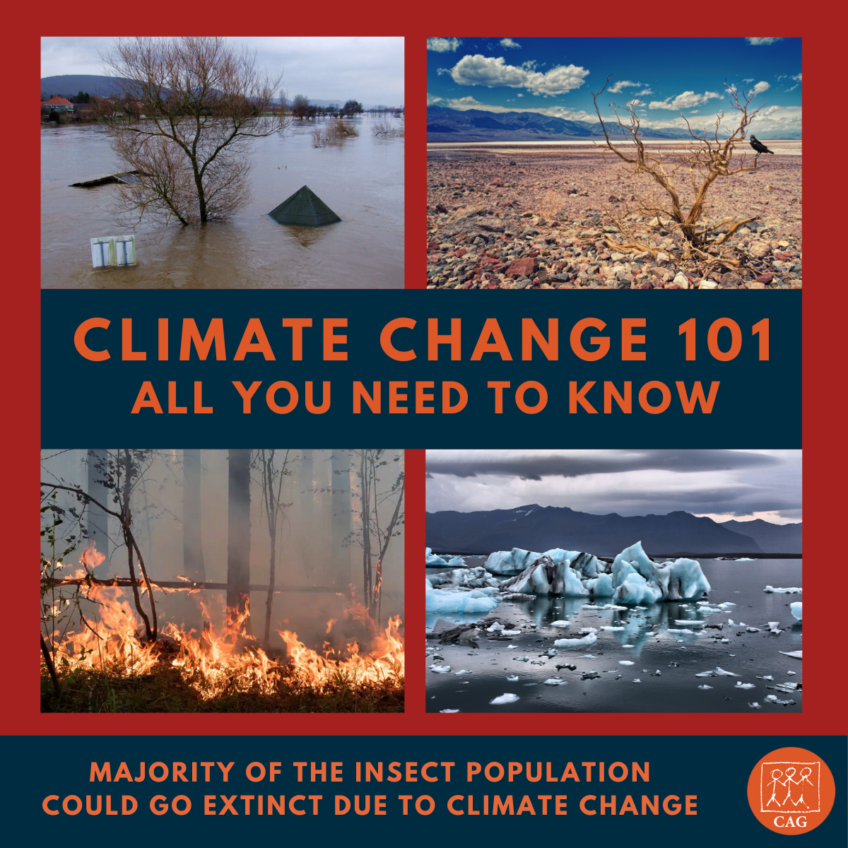 Understanding Climate Change: Causes, Effects, And Solutions For A ...