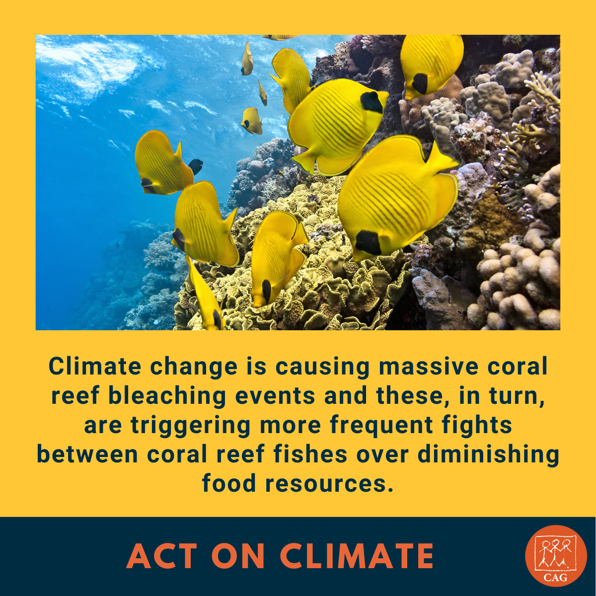 Climate Change - Increase in fish food fights | Climate Connection