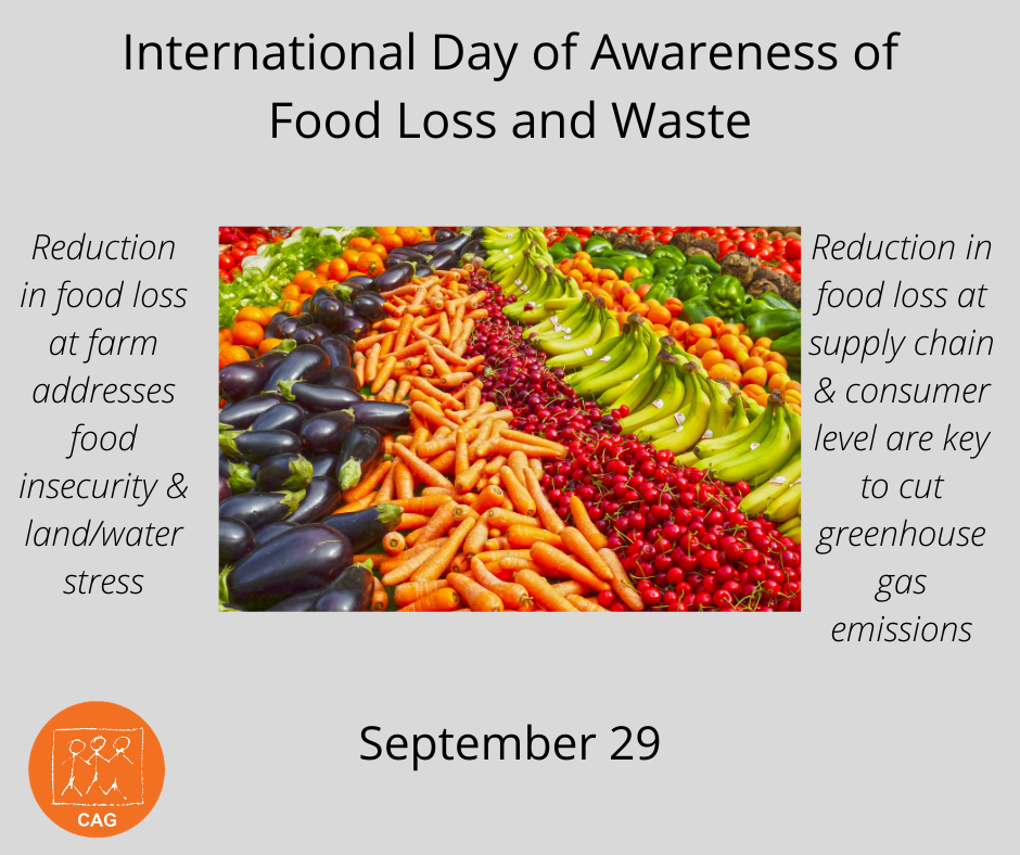 International Day of Awareness of Food loss and waste 
