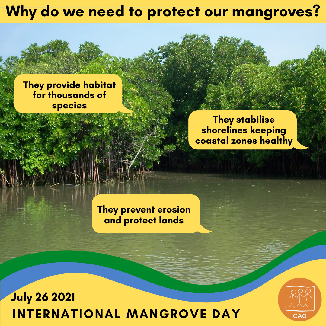 Mangrove day